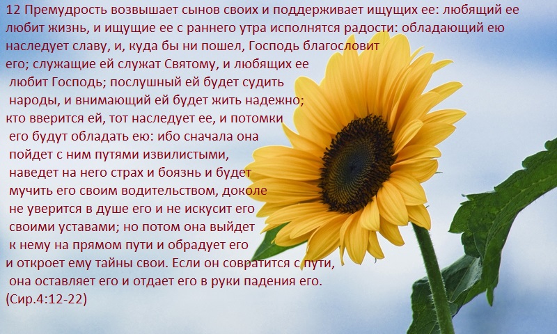 http://forumstatic.ru/files/0019/7c/40/62940.jpg