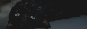 http://forumstatic.ru/files/0019/f3/4b/18415.png