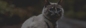 http://forumstatic.ru/files/0019/f3/4b/32248.png