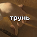 http://forumstatic.ru/files/001a/fc/20/12692.png
