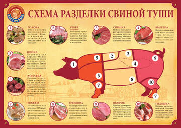 https://forumstatic.ru//uploads/0001/15/60/1059/t43647.jpg