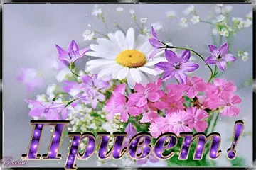 https://forumstatic.ru//uploads/0001/15/60/1059/t550439.webp