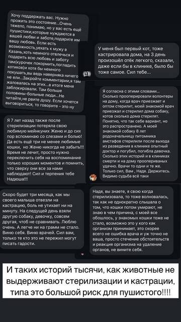 https://forumstatic.ru//uploads/0001/15/60/1059/t694450.jpg