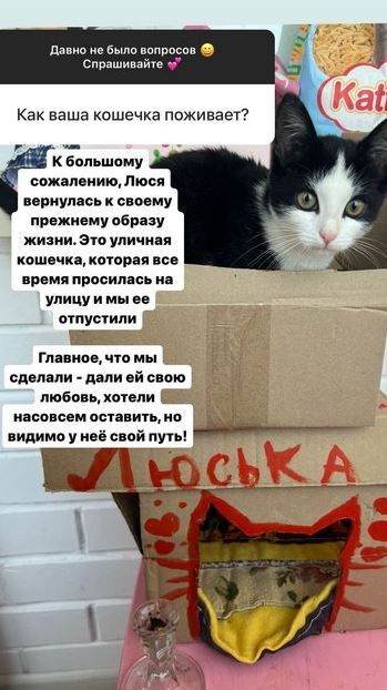 https://forumstatic.ru//uploads/0001/15/60/1065/t119549.jpg