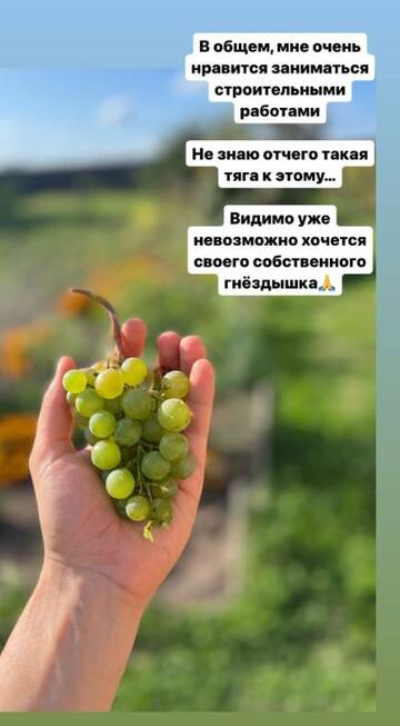 https://forumstatic.ru//uploads/0001/15/60/1065/t14595.jpg