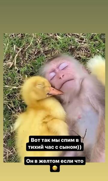 https://forumstatic.ru//uploads/0001/15/60/1065/t298593.jpg