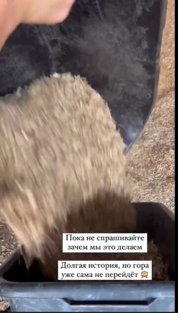 https://forumstatic.ru//uploads/0001/15/60/1065/t308568.jpg