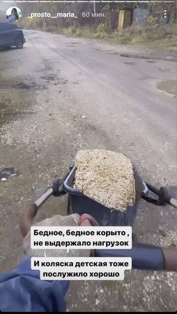 https://forumstatic.ru//uploads/0001/15/60/1065/t368987.jpg