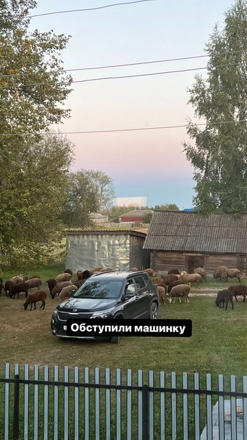 https://forumstatic.ru//uploads/0001/15/60/1065/t422692.jpg