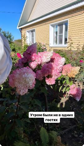 https://forumstatic.ru//uploads/0001/15/60/1065/t912239.jpg