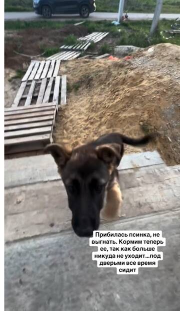 https://forumstatic.ru//uploads/0001/15/60/1091/t149667.jpg