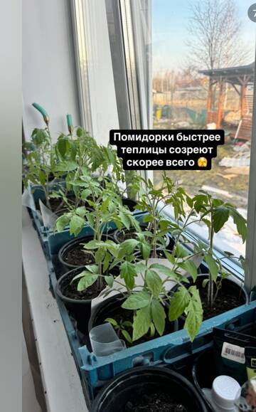 https://forumstatic.ru//uploads/0001/15/60/1091/t722934.jpg