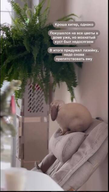 https://forumstatic.ru//uploads/0001/15/60/824/t143114.jpg