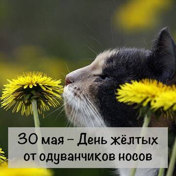 https://forumstatic.ru//uploads/0001/15/60/824/t211693.jpg