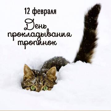 https://forumstatic.ru//uploads/0001/15/60/824/t441650.jpg
