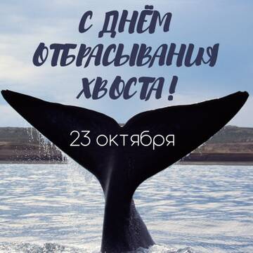 https://forumstatic.ru//uploads/0001/15/60/824/t496162.jpg