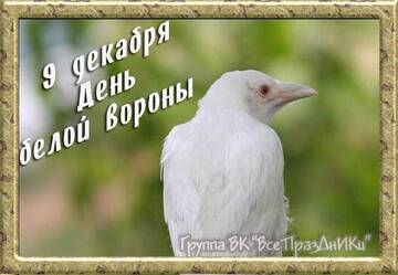 https://forumstatic.ru//uploads/0001/15/60/824/t672528.jpg