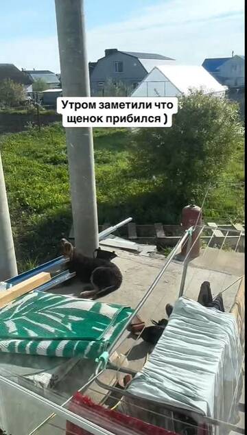 https://forumstatic.ru//uploads/0001/15/60/824/t745200.jpg