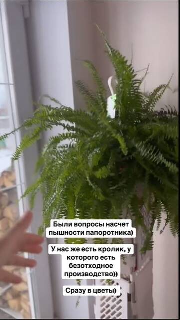 https://forumstatic.ru//uploads/0001/15/60/824/t90441.jpg