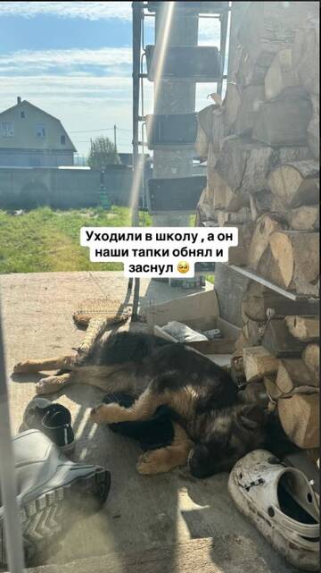 https://forumstatic.ru//uploads/0001/15/60/824/t939793.jpg