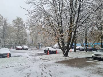https://forumstatic.ru//uploads/0001/15/60/824/t997792.jpg