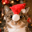 https://forumstatic.ru//uploads/0001/15/60/947/t389103.gif