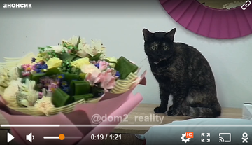 https://forumstatic.ru//uploads/0001/15/60/969/t711481.png