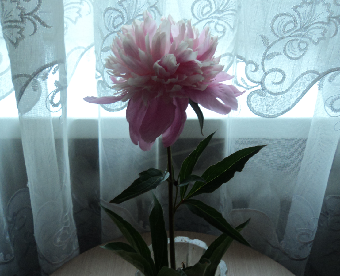 https://forumstatic.ru//uploads/000f/6e/73/2/367848.png