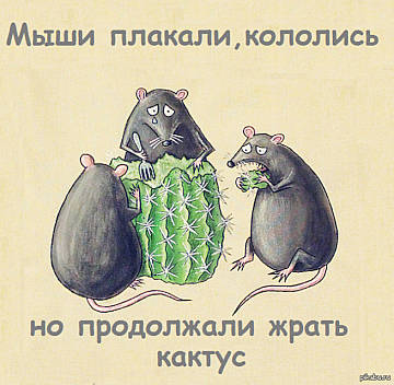 https://forumstatic.ru//uploads/0014/75/e6/2/458468.jpg