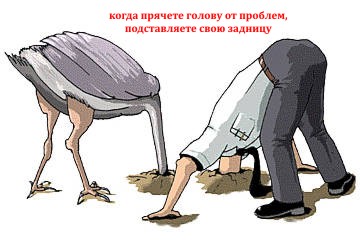 https://forumstatic.ru//uploads/0014/75/e6/2/812869.jpg