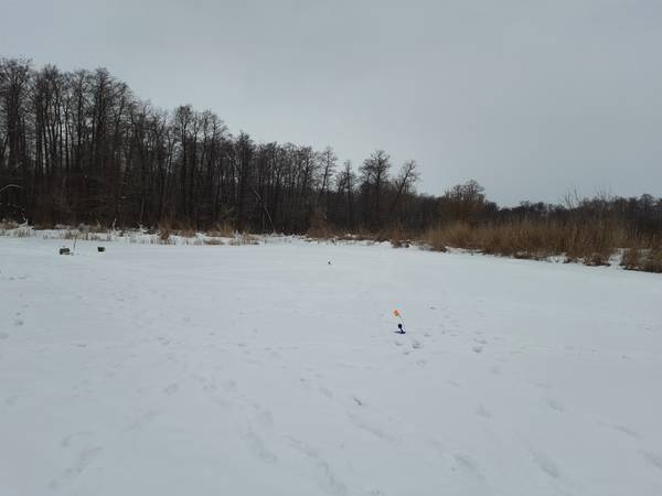 https://forumstatic.ru//uploads/0017/28/55/103/t203367.jpg