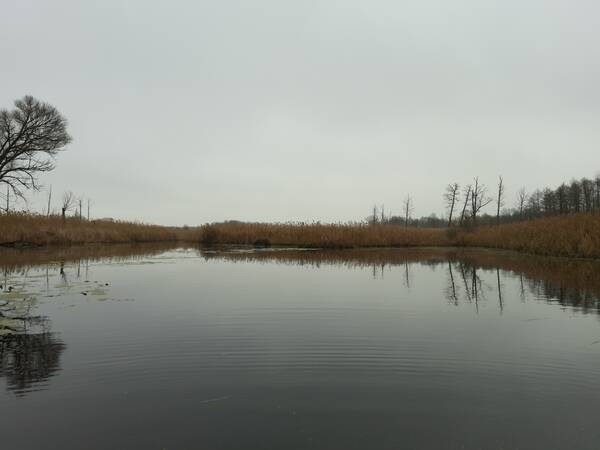 https://forumstatic.ru//uploads/0017/28/55/103/t234035.jpg