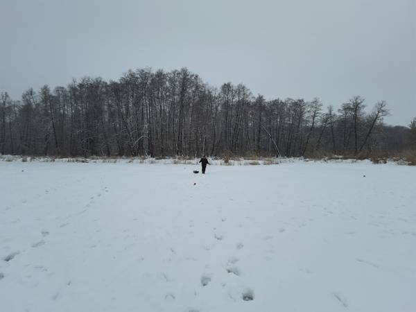 https://forumstatic.ru//uploads/0017/28/55/103/t262563.jpg