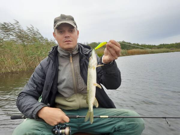 https://forumstatic.ru//uploads/0017/28/55/103/t298104.jpg