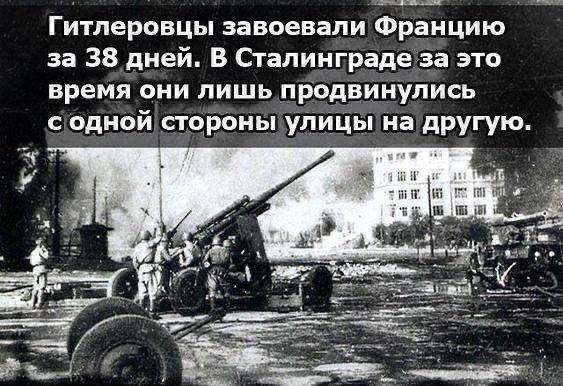 https://forumstatic.ru//uploads/0017/28/55/103/t570997.jpg