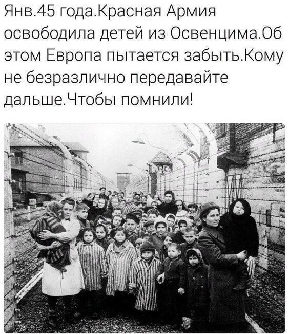 https://forumstatic.ru//uploads/0017/28/55/103/t604576.jpg