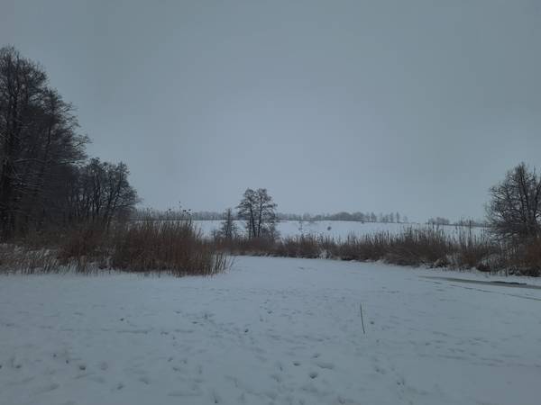 https://forumstatic.ru//uploads/0017/28/55/103/t613024.jpg