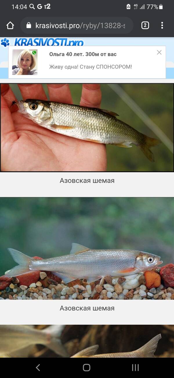 https://forumstatic.ru//uploads/0017/28/55/103/t710726.jpg