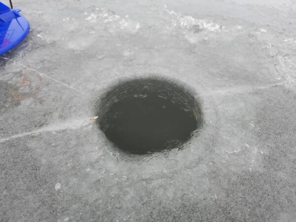 https://forumstatic.ru//uploads/0017/28/55/103/t793665.jpg