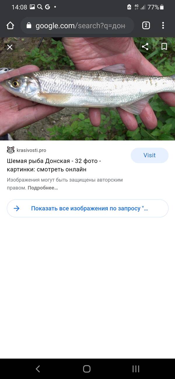 https://forumstatic.ru//uploads/0017/28/55/103/t827515.jpg