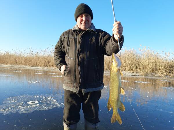 https://forumstatic.ru//uploads/0017/28/55/103/t833375.jpg