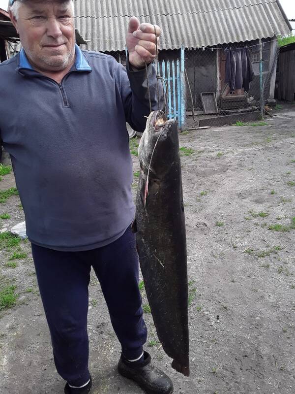 https://forumstatic.ru//uploads/0017/28/55/103/t850145.jpg