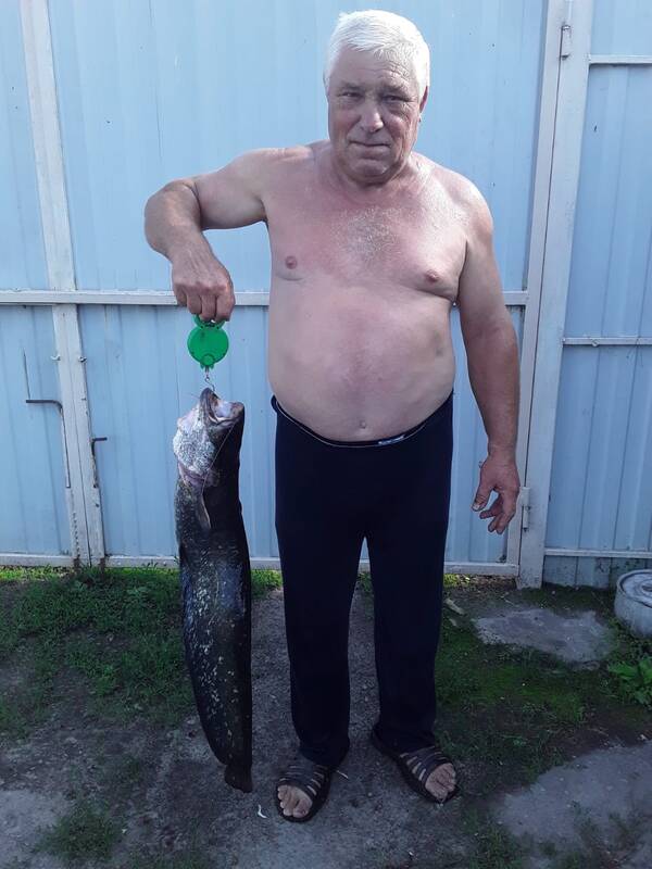 https://forumstatic.ru//uploads/0017/28/55/103/t915470.jpg