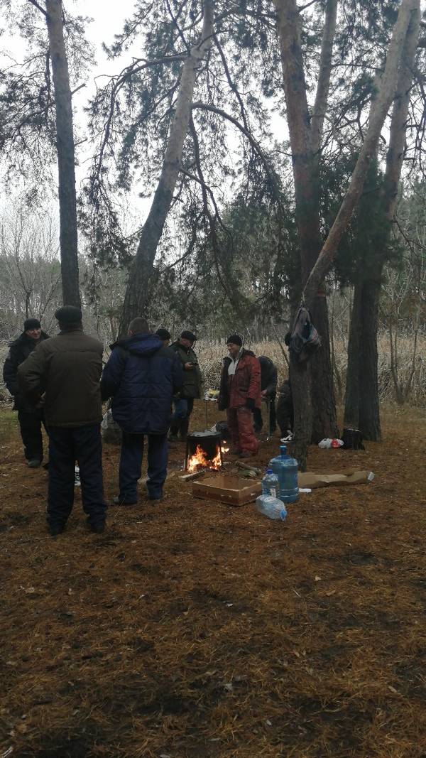 https://forumstatic.ru//uploads/0017/28/55/1114/t483339.jpg