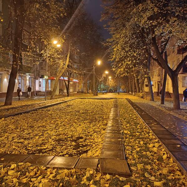 https://forumstatic.ru//uploads/0017/28/55/1114/t59716.jpg