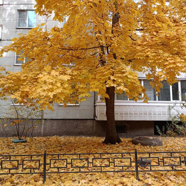 https://forumstatic.ru//uploads/0017/28/55/1114/t713062.jpg