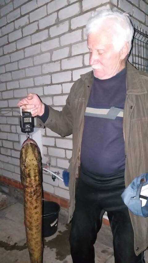 https://forumstatic.ru//uploads/0017/28/55/119/t155592.jpg
