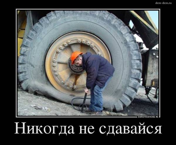 https://forumstatic.ru//uploads/0017/28/55/119/t407065.jpg