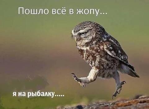 https://forumstatic.ru//uploads/0017/28/55/119/t636900.jpg