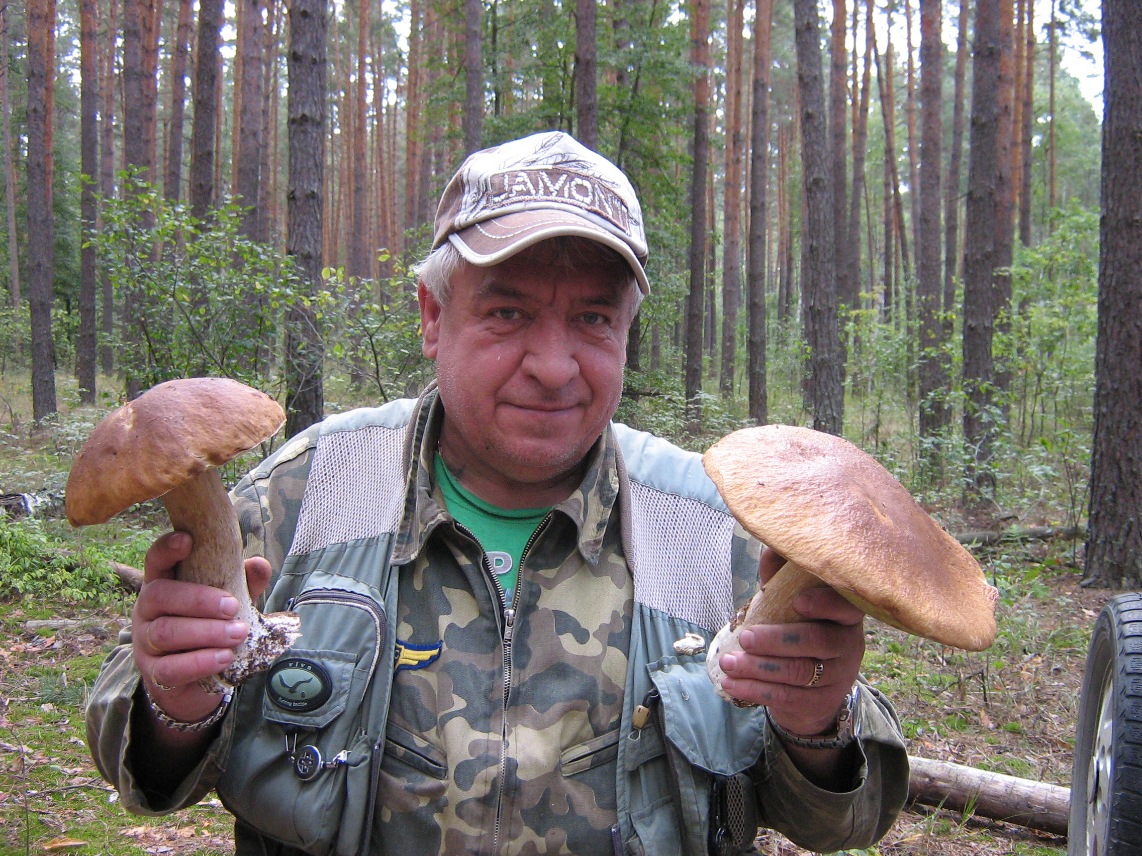 https://forumstatic.ru//uploads/0017/28/55/12/431882.jpg